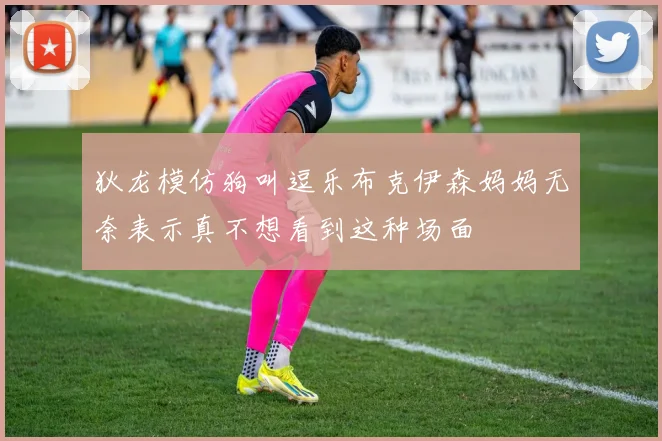 狄龙模仿狗叫逗乐布克伊森妈妈无奈表示真不想看到这种场面